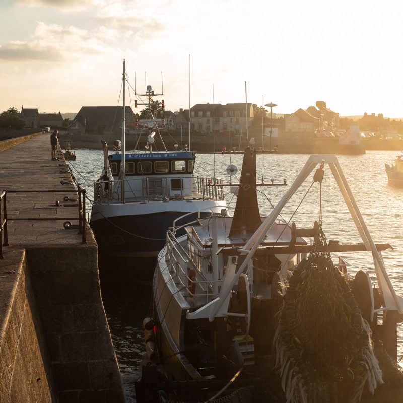 Saint-Vaast-la-Hougue 4