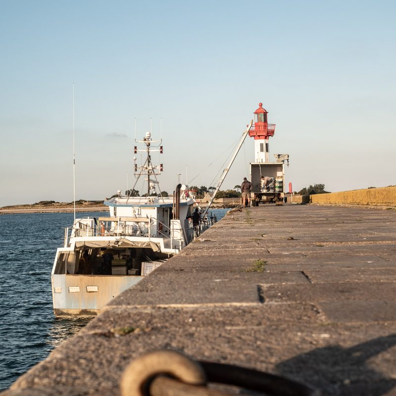 Saint-Vaast-la-Hougue 2