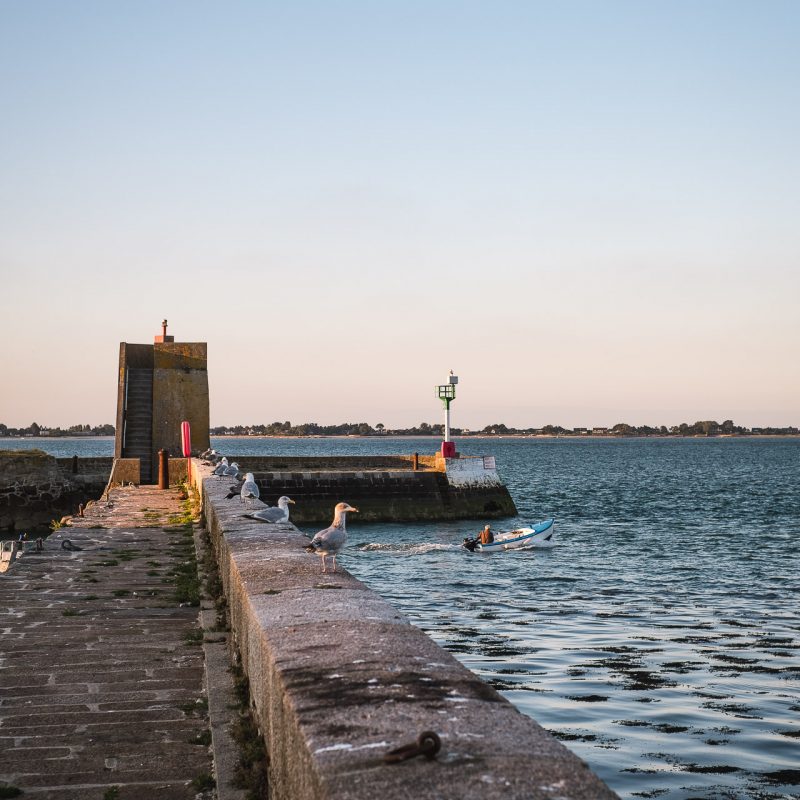 Saint-Vaast-la-Hougue 5