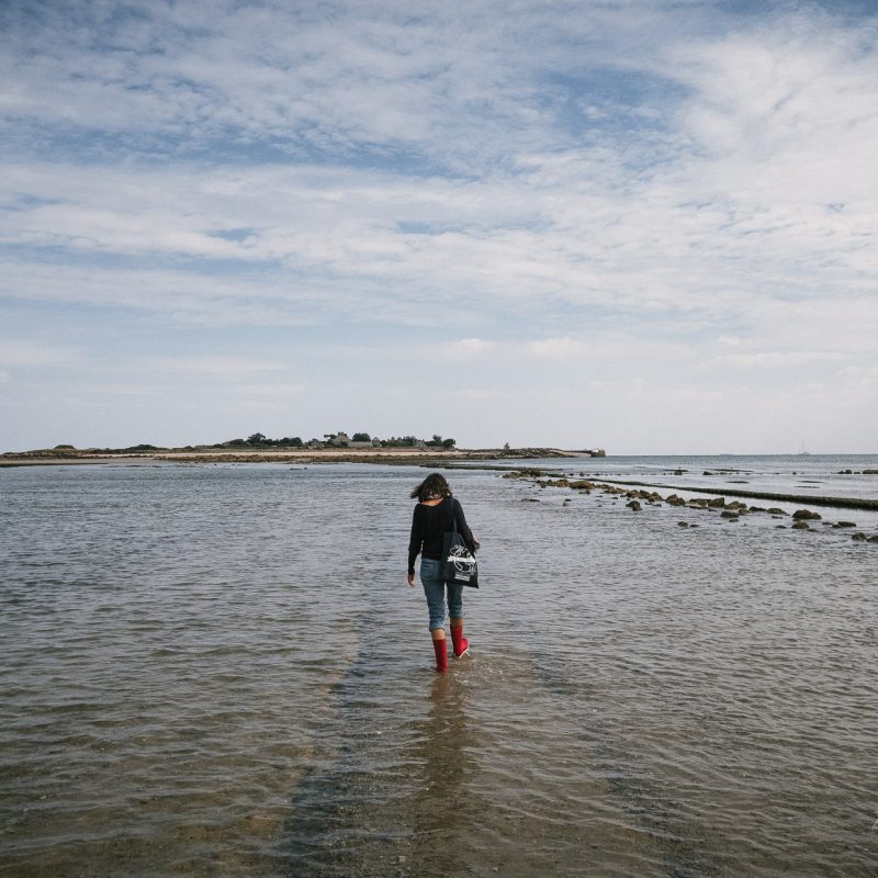 Saint-Vaast-la-Hougue 13
